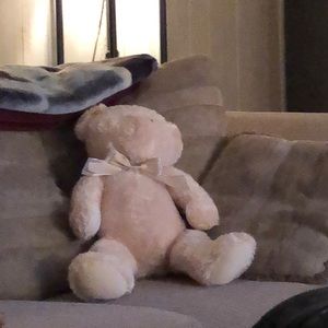 Meet your Posher, Ray